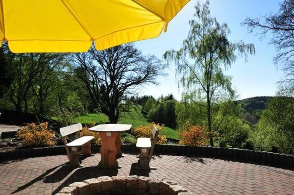 Wohnung In Hohegeiss Mit Grill Und Garten Браунлаге Екстер'єр фото